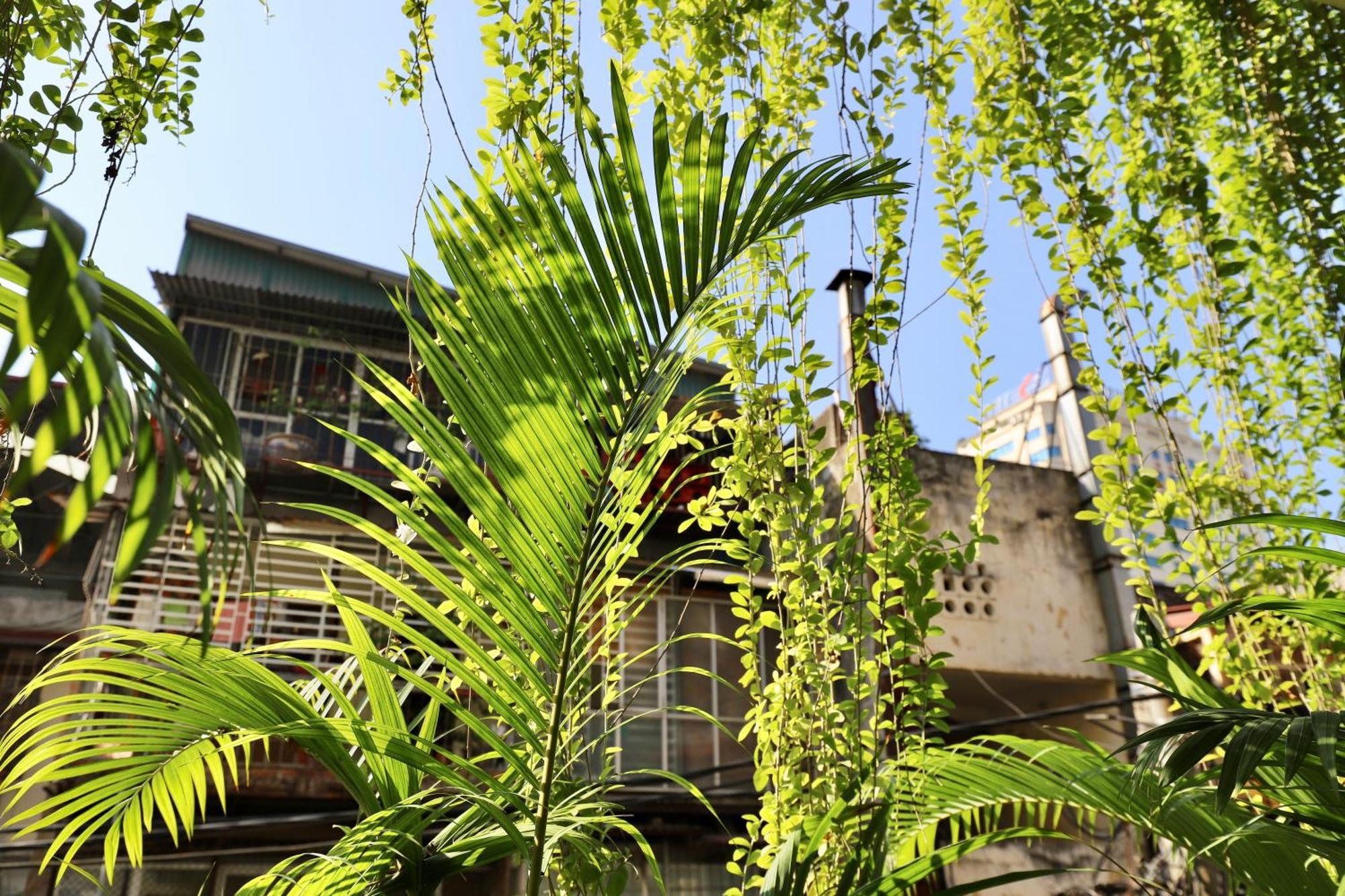 The Garden House Daire Hanoi Dış mekan fotoğraf